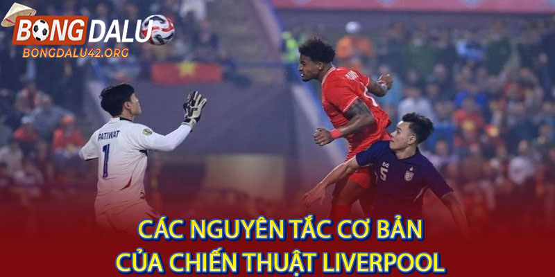 Chiến Thuật liverpool