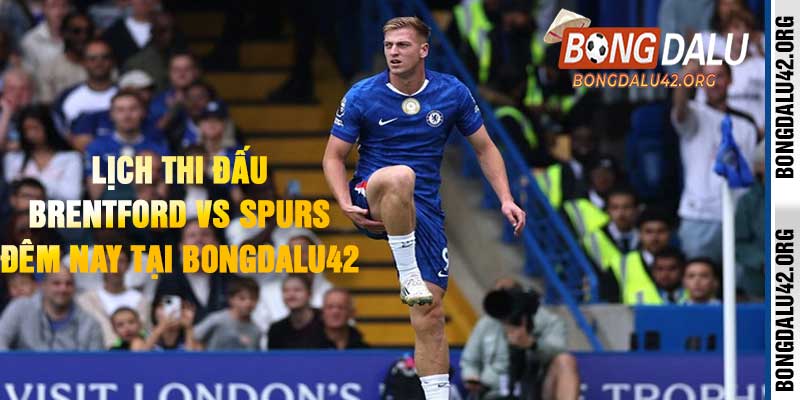 Lịch Thi Đấu Brentford Vs Spurs Đêm Nay Tại Bongdalu42