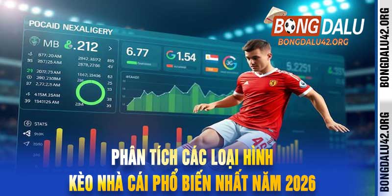 Phân tích các loại hình kèo nhà cái phổ biến nhất năm 2026